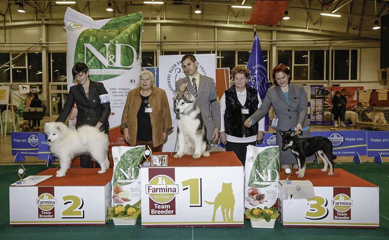 CACIB Celje 2014 - Specialna razstava FCI5