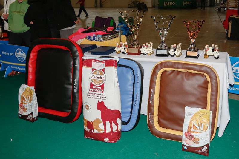 CACIB Celje 2014 - Winter Winner TOP