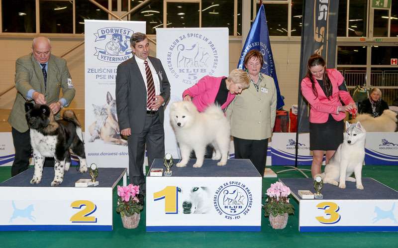 CACIB Celje Specialna razstava FCI5